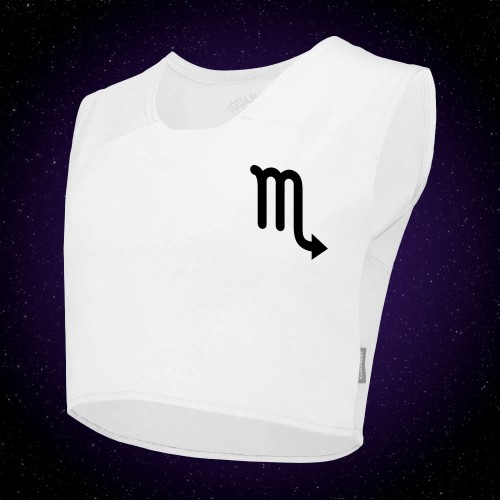 Scorpio sports binder – front view with zodiac print